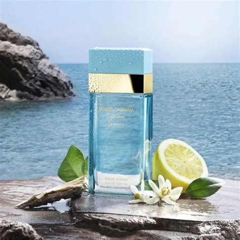 parfum dolce gabbana light blue a vendre|dolce gabbana light blue femme.